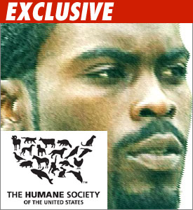 Vick in Chicago: There for Da Dogs, Not Da Bears