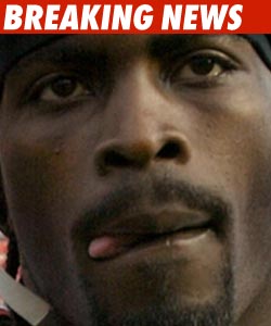 Philadelphia Eagles Swoop Up Michael Vick