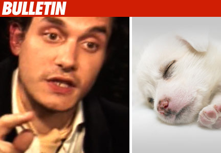 John Mayer Hates Puppies...