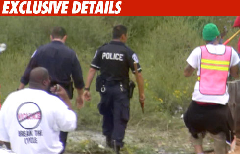 Chris Brown -- The Cost of Extra Protection