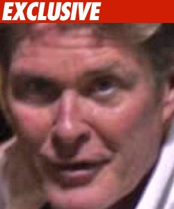 david hasselhoff