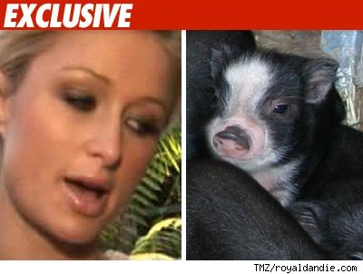 This Little Piggy Went to Paris ... Hilton