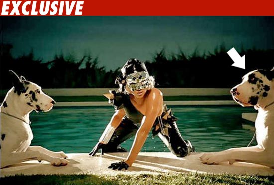 Lady Gaga Music Video Star Found Dead