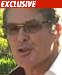 Hoff Gambles with Sobriety in Canadian Casino