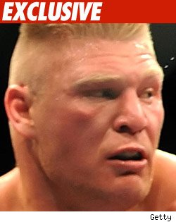 Lesnar -- Mayo Bound and May Never Fight Again