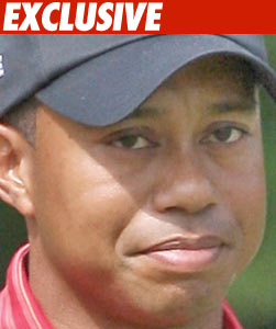 Troopers Make Hospital Visit Over Tiger Woods