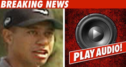 Tiger Crash Witness -- He Was Snoring