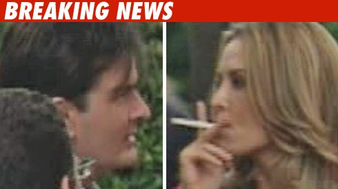 Charlie Sheen, Brooke Mueller Hearing Delayed