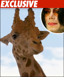 GIRAFFE AND MICHAEL JACKSON