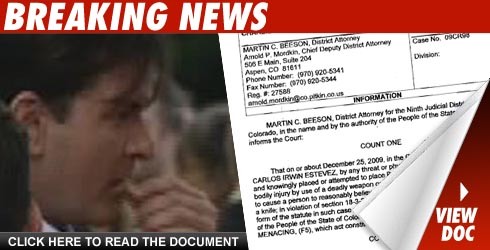 Charlie Sheen charged over Brooke Mueller incident