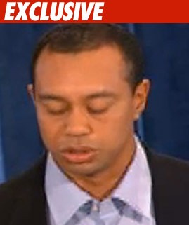 Tiger Woods -- Back Home with Elin