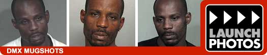 DMX Mugshots