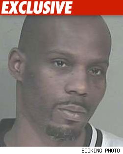 'Celebrity Rehab' Wants a Piece of DMX