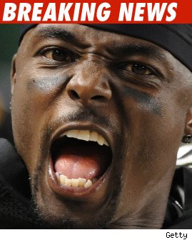 Santonio Holmes: She Called Me a 'N*gger'