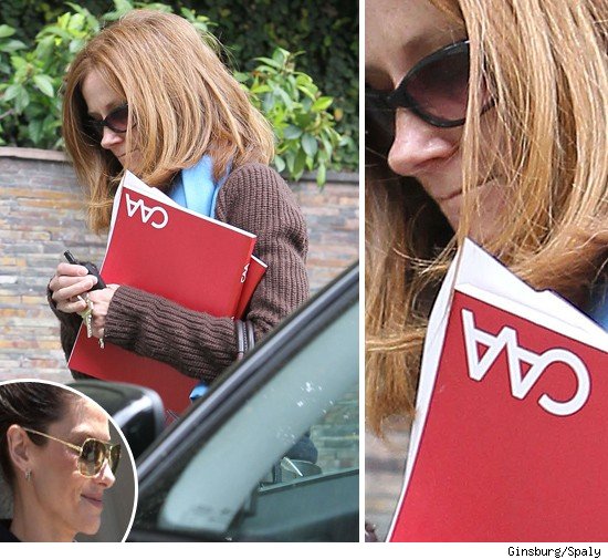 Sandra Bullock Sticks to the Script