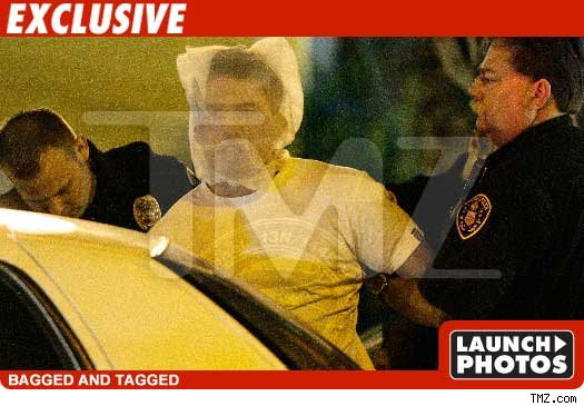 UFC Fighter Busted - Assault with Deadly Weapon