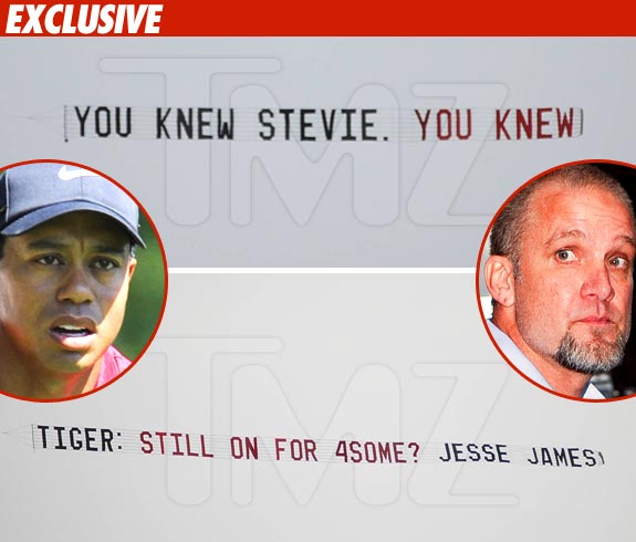 Tiger woods Banner