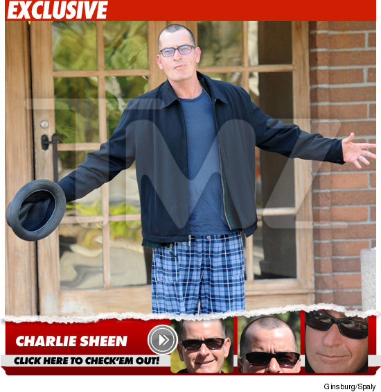 Charlie Sheen -- I'm Totally Buzzed