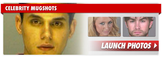 Celebrity Mugshots