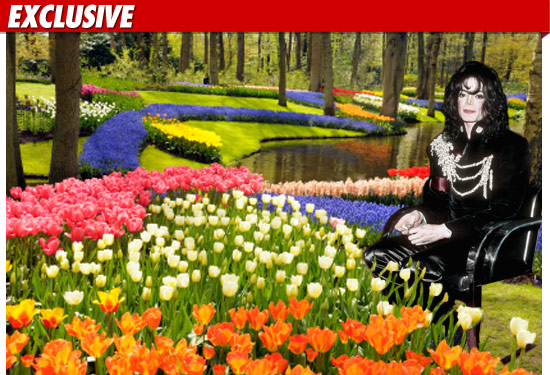 Michael Jackson: National Museum of Dance