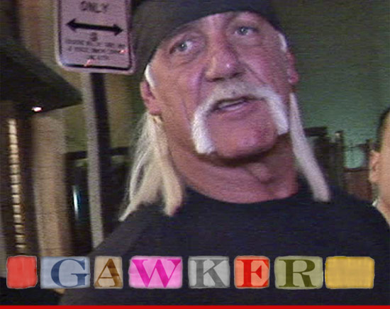 Judge To Hulk Hogan Sex Tape Stays Online For Now 