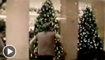 kiefer sutherland christmas tree video is greatest gift of all tmzcom - Kiefer Sutherland Christmas Tree kiefer sutherland christmas tree video is greatest gift of all tmzcom - Kiefer Sutherland Christmas Tree