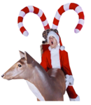 Celebrity Christmas Celebrations: We Need a Little Christmas