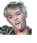 Miley Cyrus: Bangerz Tour Bummerz