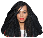 Jay Z and Solange Fight