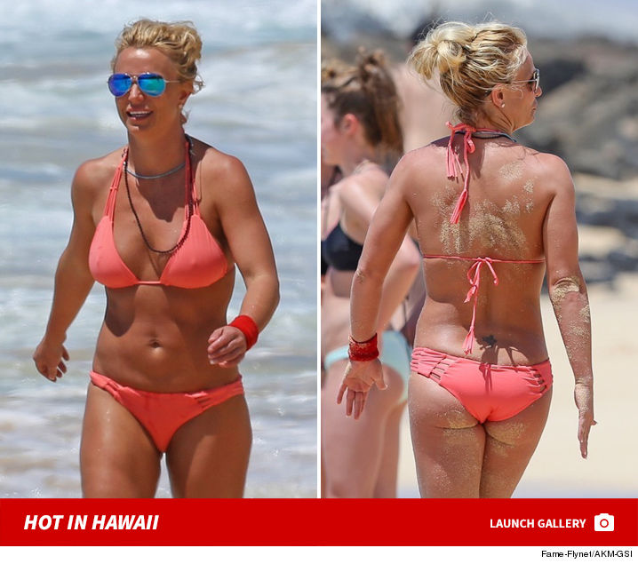 For Britney Spears Hard Work Bitch Pays Off In Hawaii 