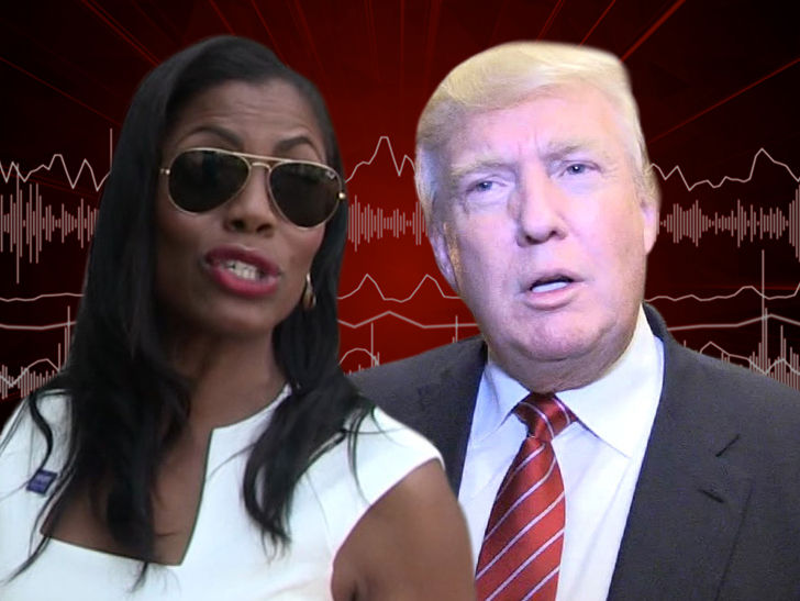 Omarosa's New Tape Reveals Trump Accusing Hillary of Russia Collusion