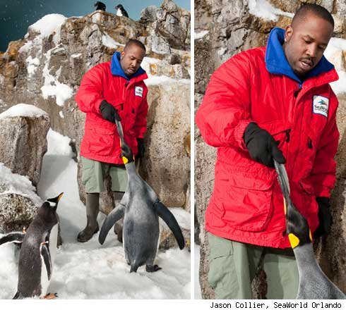 Big Boi Serves Up Sashimi at SeaWorld
