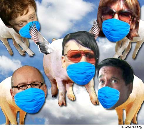 Swine Flu -- All the Rage in Hollywood