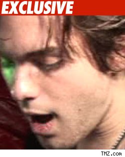 'Terminator' Kid -- T2 Counts of DUI