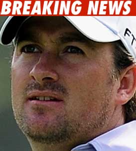 Graeme McDowell -- The New Tiger