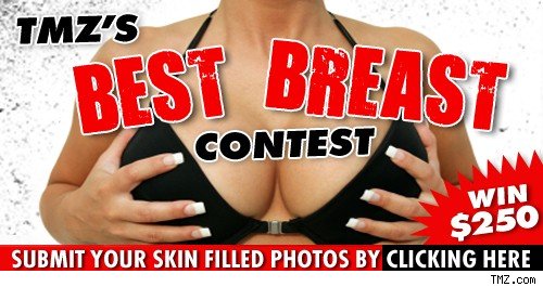 TMZ's Best Breast Contest!