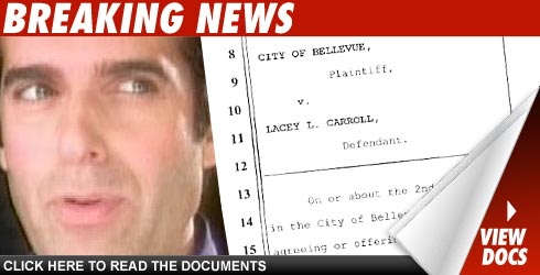 Copperfield Accuser Charged with Prostitution