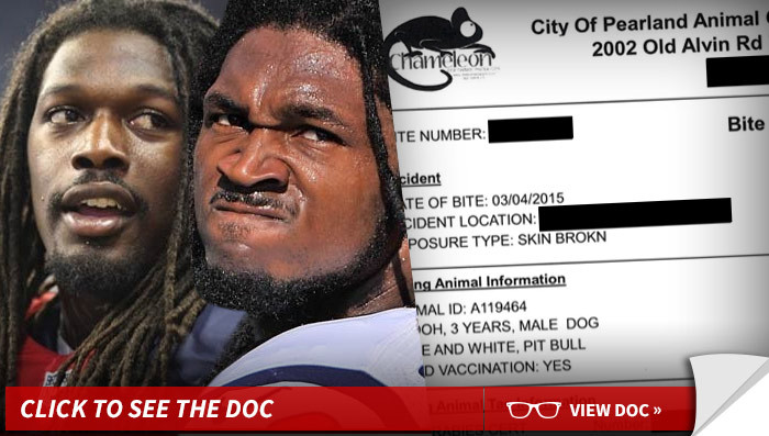Jadeveon Clowney -- Bit By Teammate's Pit Bull ...