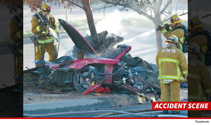 Paul Walker's Daughter Sues Porsche -- He was Burned Alive in Faulty