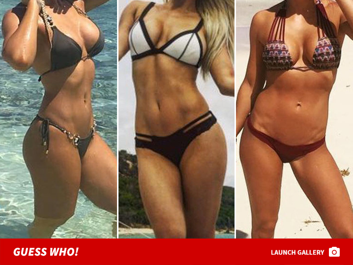 Wwe Bikini Babes Guess Who Wwe Bikini Babes Guess Who