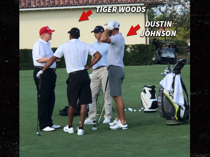 donald trump plays golf