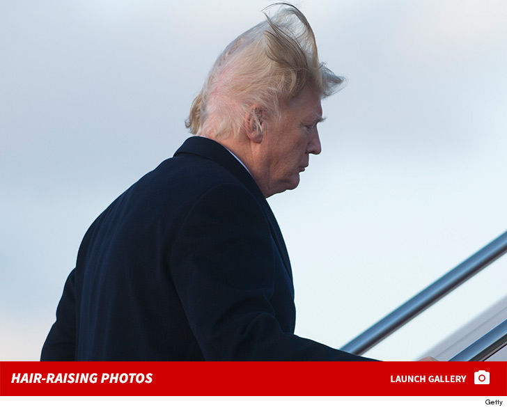 President Trump's Hair Meets Stiff Wind, Hair Loses Badly | TMZ.com