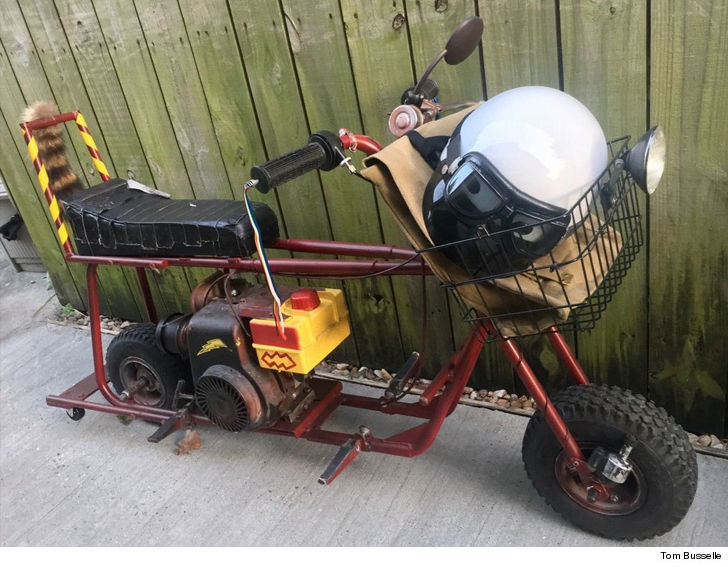 dumb and dumber mini