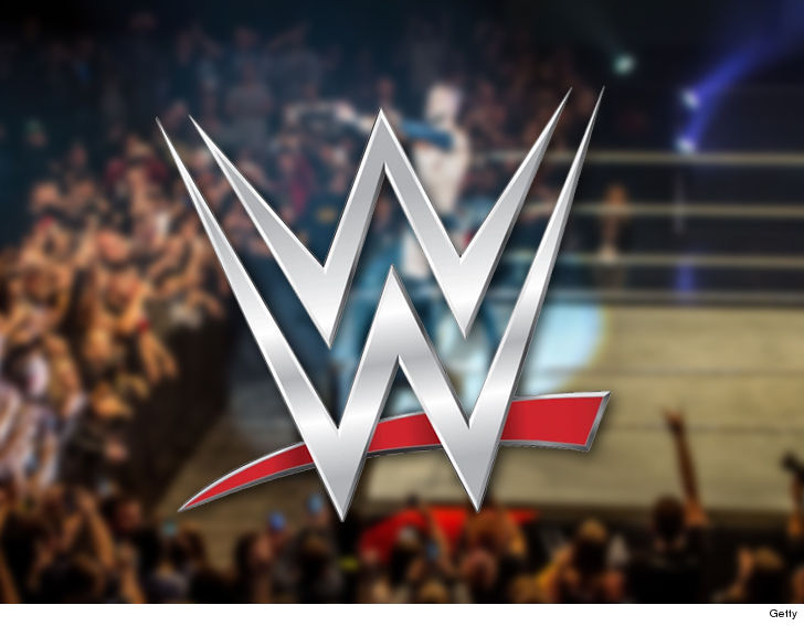 WWE File Restraining Order Against Fan