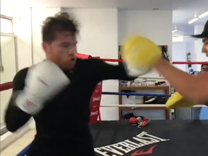 Canelo Alvarez Begins Training While De La Hoya Taunts GGG