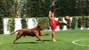 Lionel Messi Plays Soccer Keepaway With Dog Twice His Size