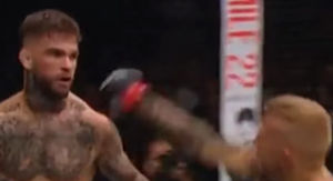 TJ Dillashaw Knocks Out Cody Garbrandt at UFC 227