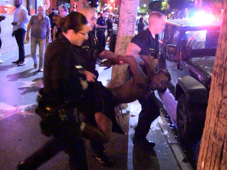 LAPD Hogties Suspect After Crazy Chase on Hollywood Walk of Fame