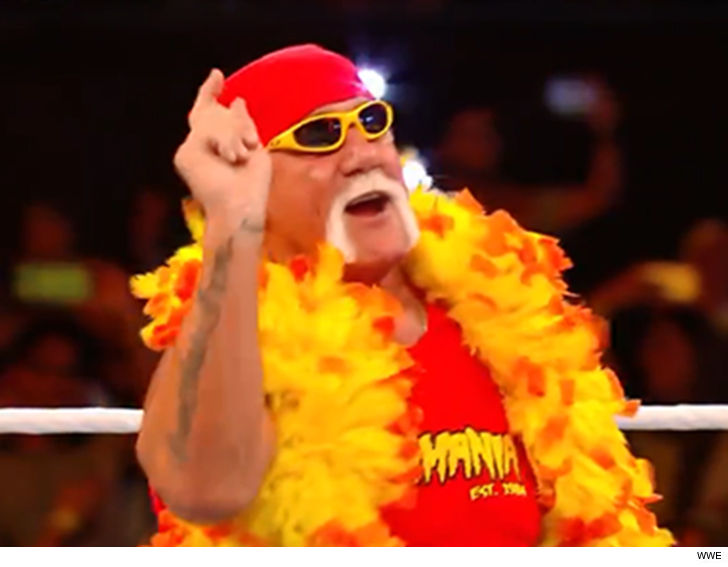 Image result for hulk hogan pics