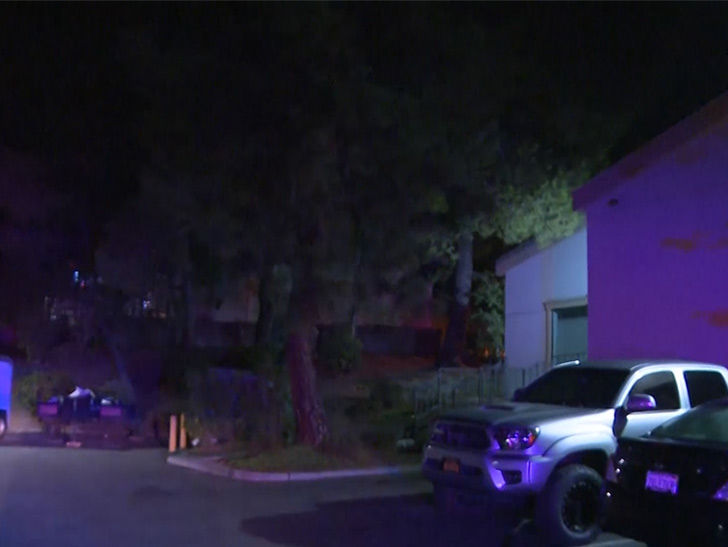 At Least 12 Killed As Shooter Opens Fire on College Students at Thousand Oaks Bar